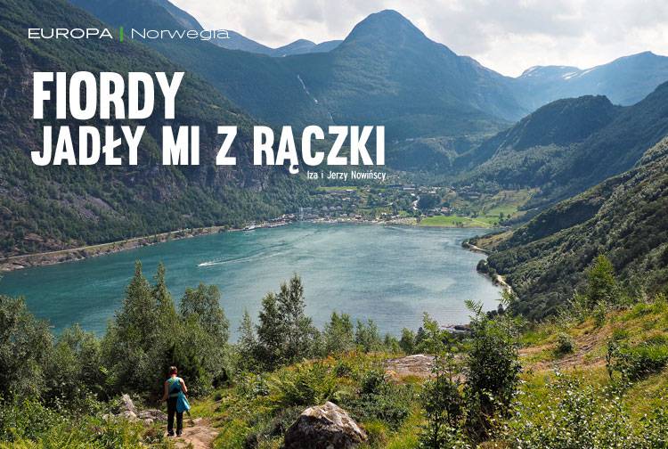 Losowy darmowy artykuł